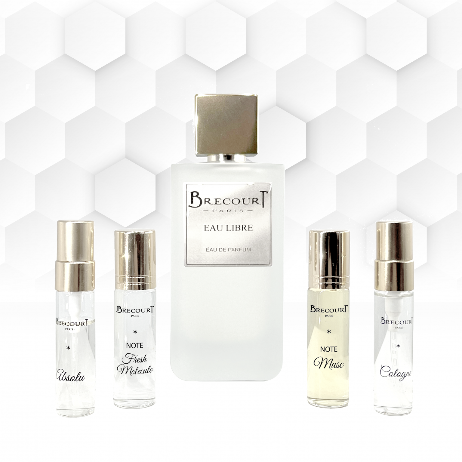 Aromatiques Fougère