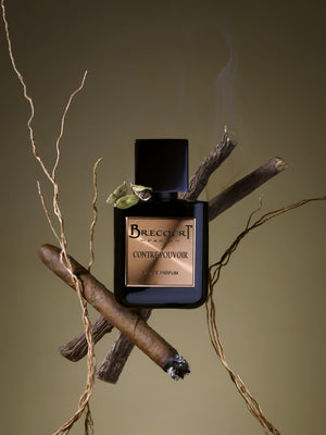 CONTRE POUVOIR CONTRE POUVOIR