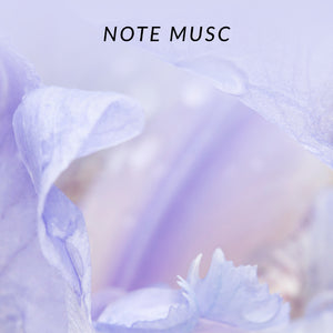 Note Musc