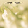 Secret Molecule